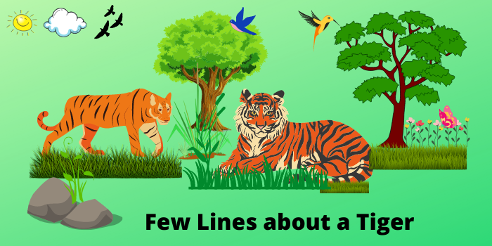 Few Lines about a Tiger in Hindi